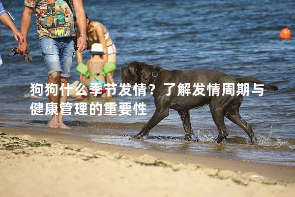 狗狗什么季節發情？了解發情周期與健康管理的重要性