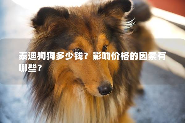 泰迪狗狗多少錢?影響價格的因素有哪些? 泰迪狗狗多少錢?影響價格的因素有哪些?