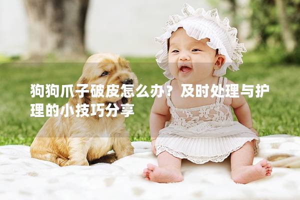狗狗爪子破皮怎么辦？及時處理與護理的小技巧分享
