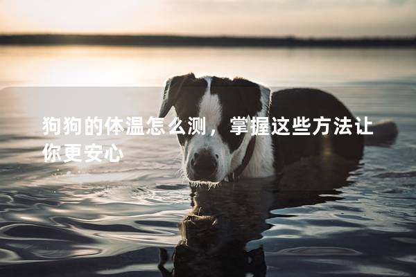 狗狗的體溫怎么測,掌握這些方法讓你更安心 狗狗的體溫怎么測,掌握這些方法讓你更安心