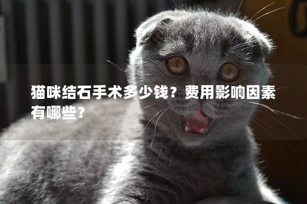 貓咪結(jié)石手術(shù)多少錢(qián)？費(fèi)用影響因素有哪些？