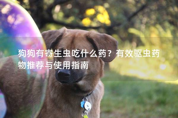 狗狗有寄生蟲吃什么藥？有效驅蟲藥物推薦與使用指南