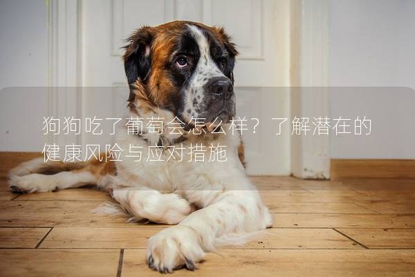 狗狗吃了葡萄會怎么樣？了解潛在的健康風險與應對措施