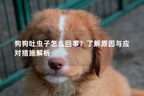 狗狗吐蟲(chóng)子怎么回事？了解原因與應(yīng)對(duì)措施解析