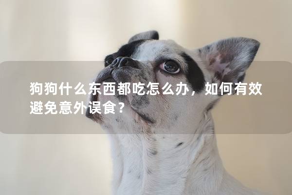 狗狗什么東西都吃怎么辦，如何有效避免意外誤食？
