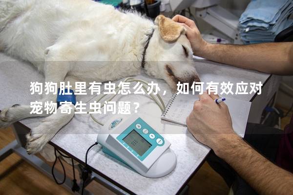 狗狗肚里有蟲怎么辦，如何有效應對寵物寄生蟲問題？