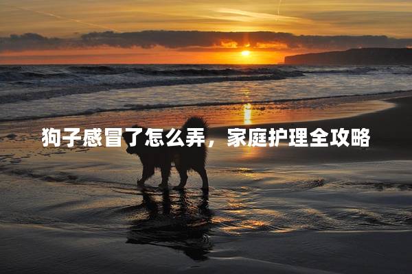狗子感冒了怎么弄，家庭護(hù)理全攻略