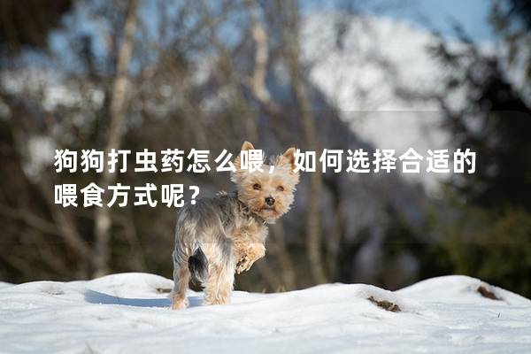 狗狗打蟲藥怎么喂，如何選擇合適的喂食方式呢？