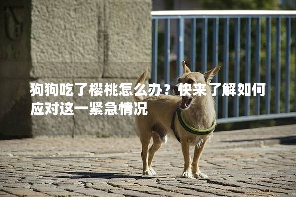 狗狗吃了櫻桃怎么辦？快來了解如何應對這一緊急情況