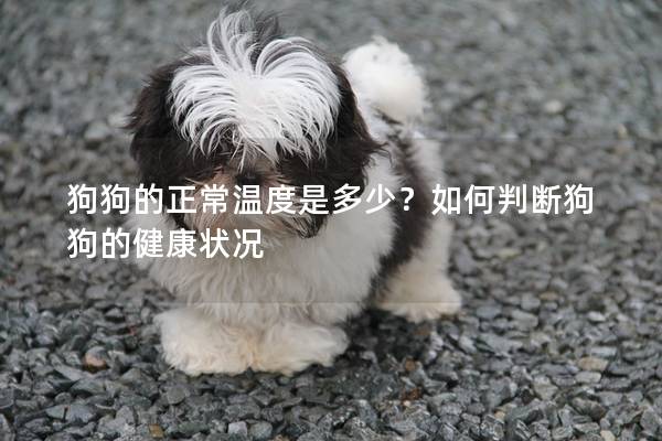 狗狗的正常溫度是多少？如何判斷狗狗的健康狀況