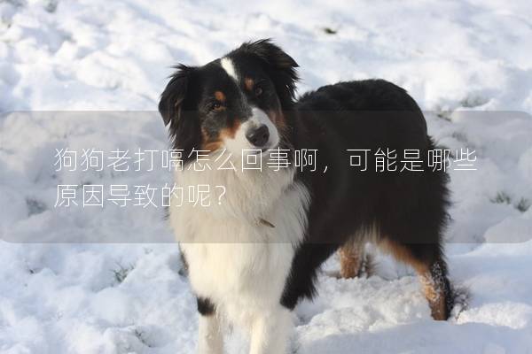 狗狗老打嗝怎么回事啊，可能是哪些原因?qū)е碌哪兀?></a></dt><dd><h2 class=