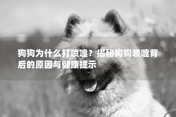 狗狗為什么打噴嚏？揭秘狗狗噴嚏背后的原因與健康提示