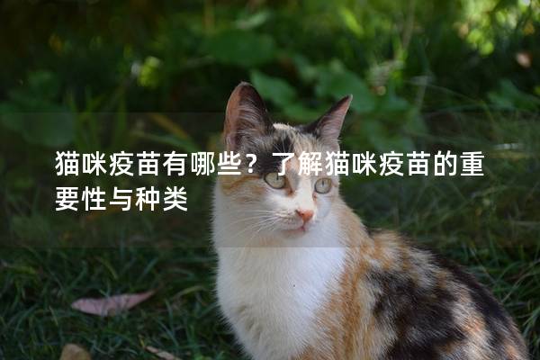 貓咪疫苗有哪些？了解貓咪疫苗的重要性與種類
