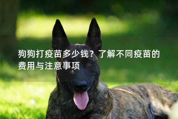 狗狗打疫苗多少錢?了解不同疫苗的費用與注意事項 狗狗打疫苗多少錢?了解不同疫苗的費用與注意事項