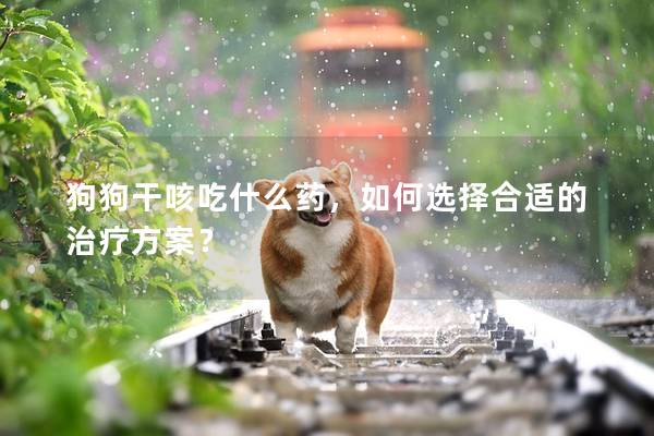 狗狗干咳吃什么藥,如何選擇合適的治療方案? 狗狗干咳吃什么藥,如何選擇合適的治療方案?