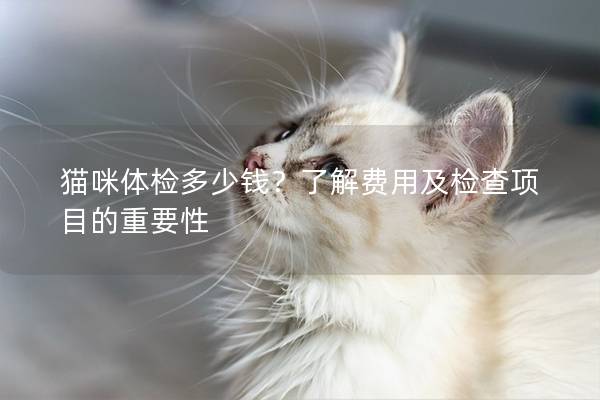 貓咪體檢多少錢？了解費用及檢查項目的重要性