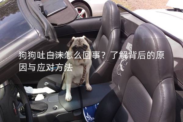 狗狗吐白沫怎么回事？了解背后的原因與應(yīng)對方法