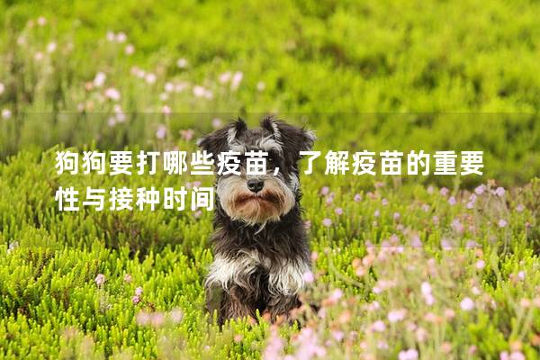 狗狗要打哪些疫苗,了解疫苗的重要性與接種時(shí)間 狗狗要打哪些疫苗,了解疫苗的重要性與接種時(shí)間