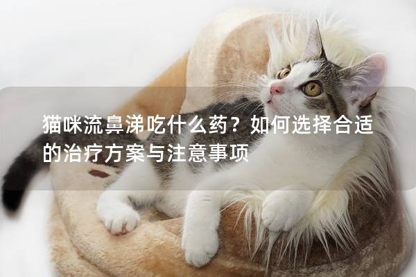 貓咪流鼻涕吃什么藥？如何選擇合適的治療方案與注意事項