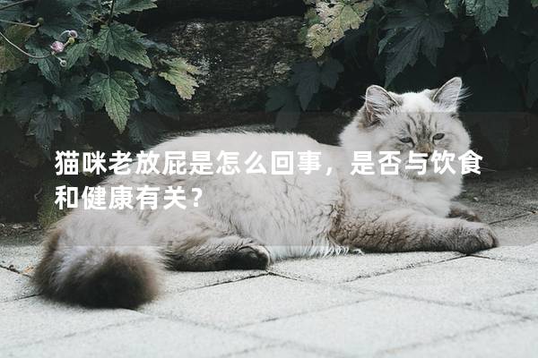 貓咪老放屁是怎么回事，是否與飲食和健康有關(guān)？