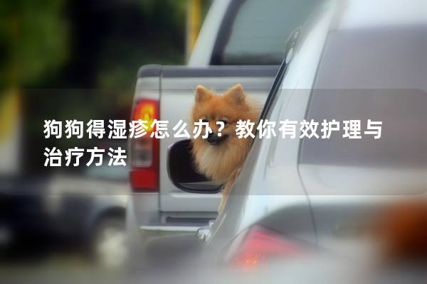 狗狗得濕疹怎么辦？教你有效護(hù)理與治療方法