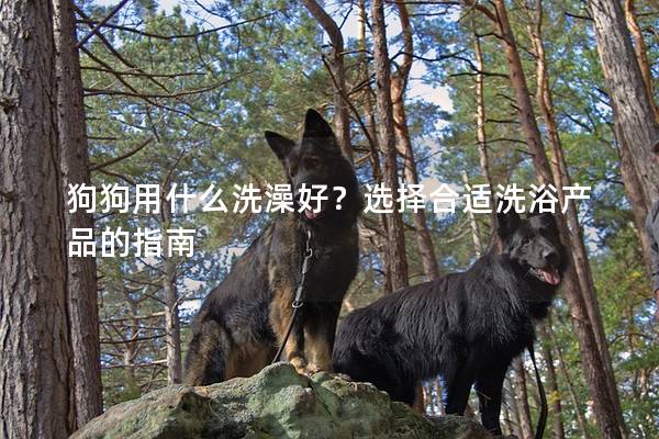 狗狗用什么洗澡好?選擇合適洗浴產品的指南 狗狗用什么洗澡好?選擇合適洗浴產品的指南