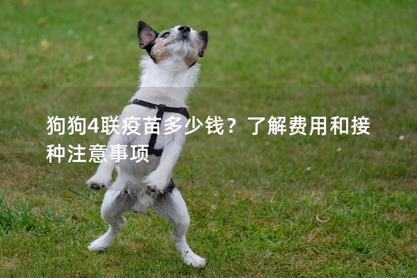 狗狗4聯(lián)疫苗多少錢？了解費用和接種注意事項