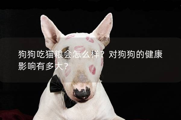 狗狗吃貓糧會怎么樣？對狗狗的健康影響有多大？