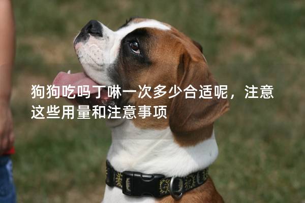 狗狗吃嗎丁啉一次多少合適呢，注意這些用量和注意事項