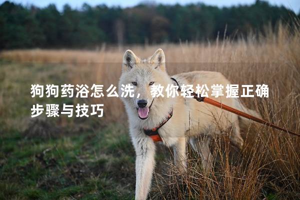 狗狗藥浴怎么洗，教你輕松掌握正確步驟與技巧