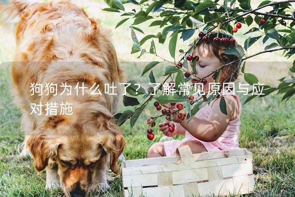 狗狗為什么吐了？了解常見原因與應(yīng)對(duì)措施