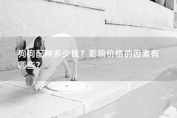 狗狗配種多少錢？影響價格的因素有哪些？