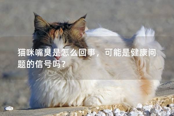 貓咪嘴臭是怎么回事，可能是健康問(wèn)題的信號(hào)嗎？