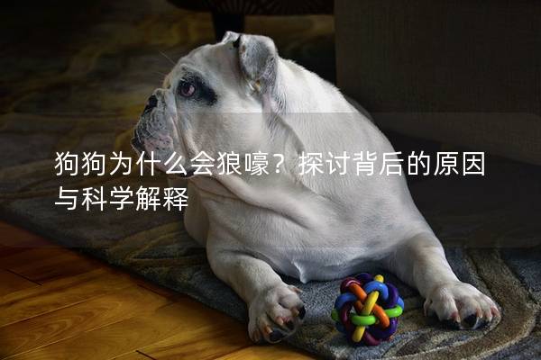 狗狗為什么會狼嚎？探討背后的原因與科學(xué)解釋