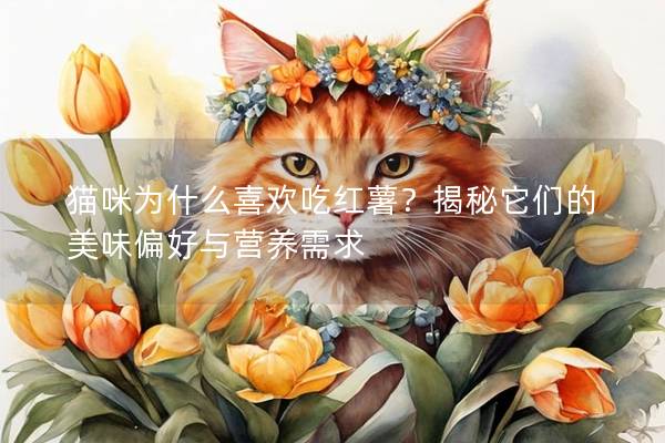 貓咪為什么喜歡吃紅薯？揭秘它們的美味偏好與營養需求