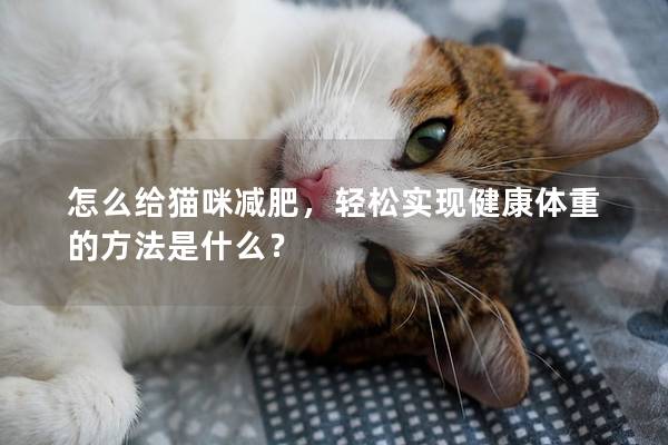 怎么給貓咪減肥，輕松實現健康體重的方法是什么？