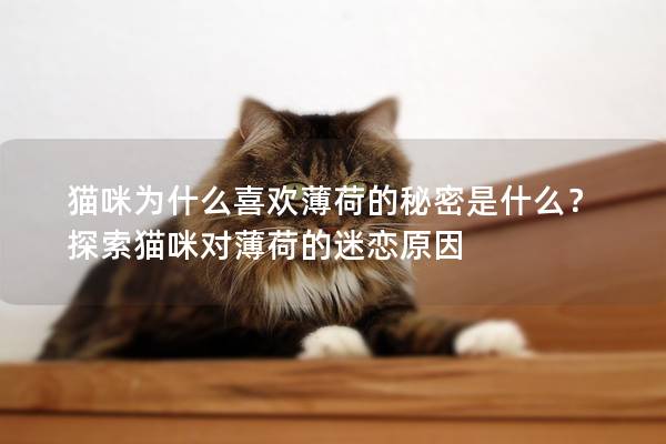 貓咪為什么喜歡薄荷的秘密是什么？探索貓咪對薄荷的迷戀原因
