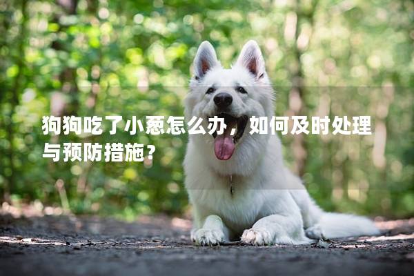 狗狗吃了小蔥怎么辦，如何及時處理與預防措施？