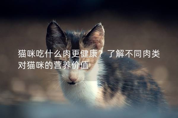 貓咪吃什么肉更健康？了解不同肉類對貓咪的營養(yǎng)價(jià)值