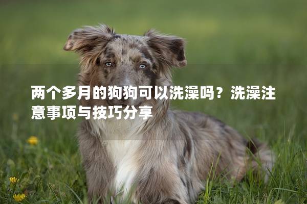 兩個(gè)多月的狗狗可以洗澡嗎？洗澡注意事項(xiàng)與技巧分享
