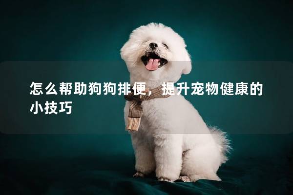 怎么幫助狗狗排便，提升寵物健康的小技巧