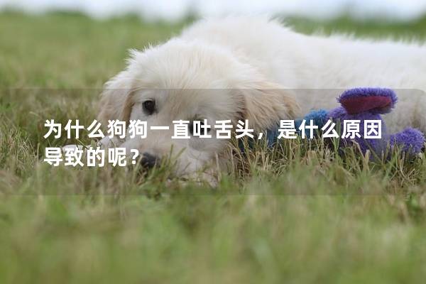 為什么狗狗一直吐舌頭，是什么原因導致的呢？