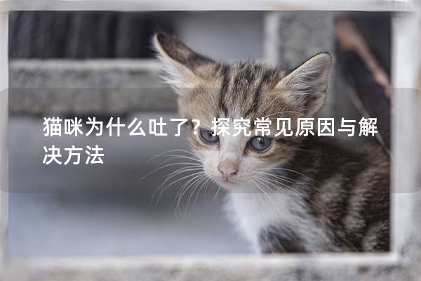 貓咪為什么吐了？探究常見原因與解決方法