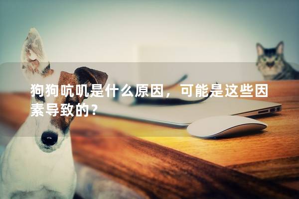 狗狗吭嘰是什么原因，可能是這些因素導(dǎo)致的？