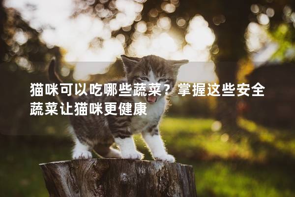 貓咪可以吃哪些蔬菜？掌握這些安全蔬菜讓貓咪更健康