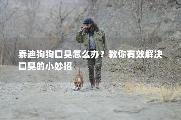 泰迪狗狗口臭怎么辦？教你有效解決口臭的小妙招