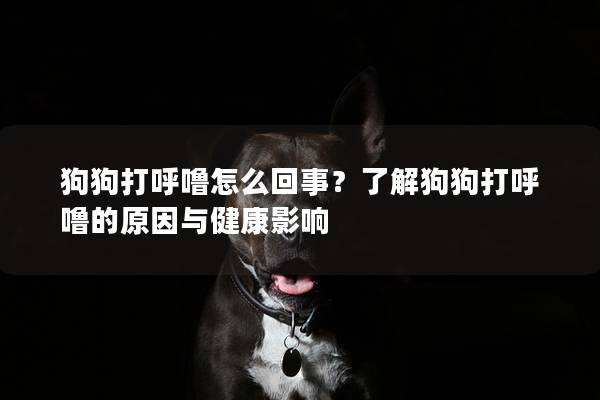 狗狗打呼嚕怎么回事?了解狗狗打呼嚕的原因與健康影響 狗狗打呼嚕怎么回事?了解狗狗打呼嚕的原因與健康影響