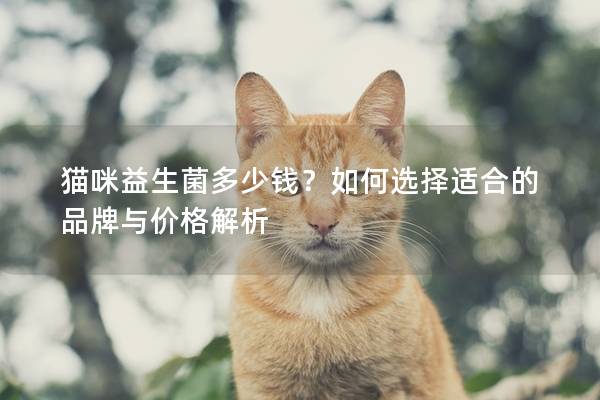 貓咪益生菌多少錢？如何選擇適合的品牌與價(jià)格解析