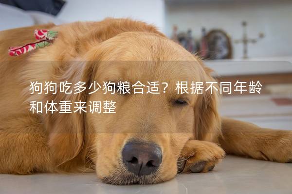 狗狗吃多少狗糧合適?根據不同年齡和體重來調整 狗狗吃多少狗糧合適?根據不同年齡和體重來調整