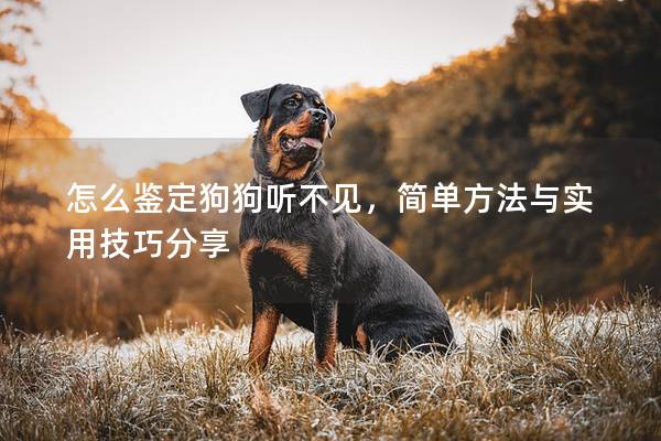 怎么鑒定狗狗聽不見，簡(jiǎn)單方法與實(shí)用技巧分享